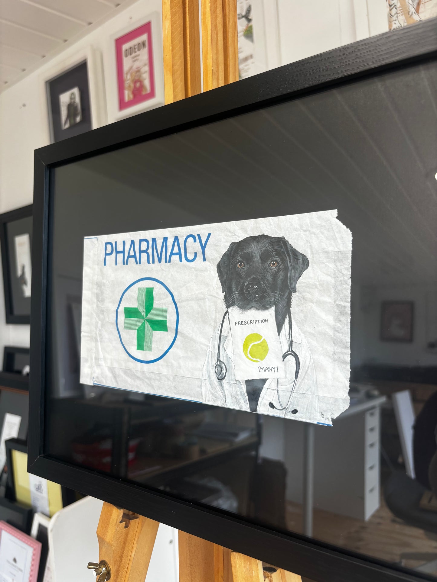 What Doc Ordered