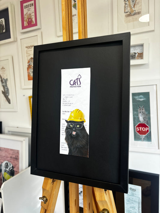 Cats Protection