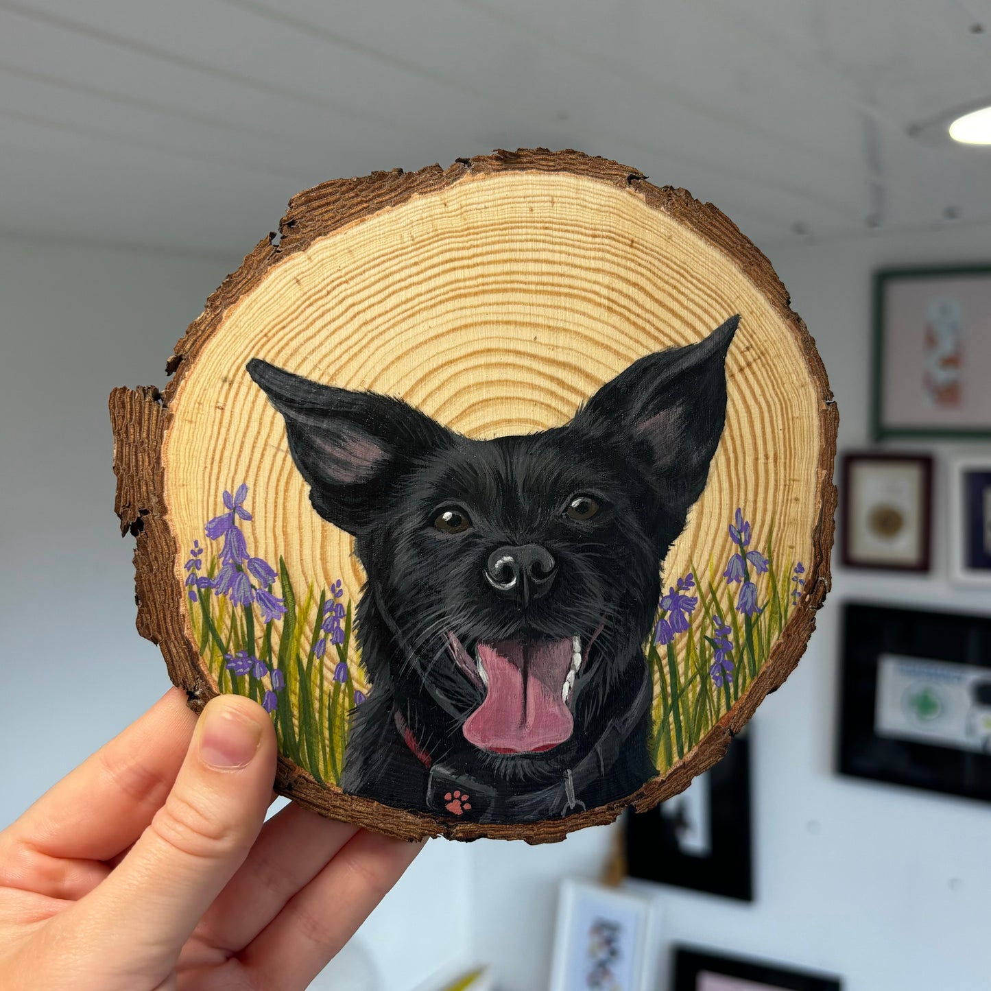 Wood Slice Portrait