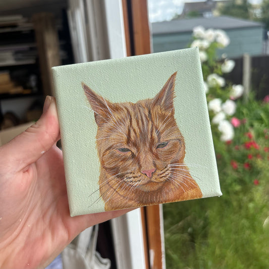 Canvas Portrait - (1 Pet)