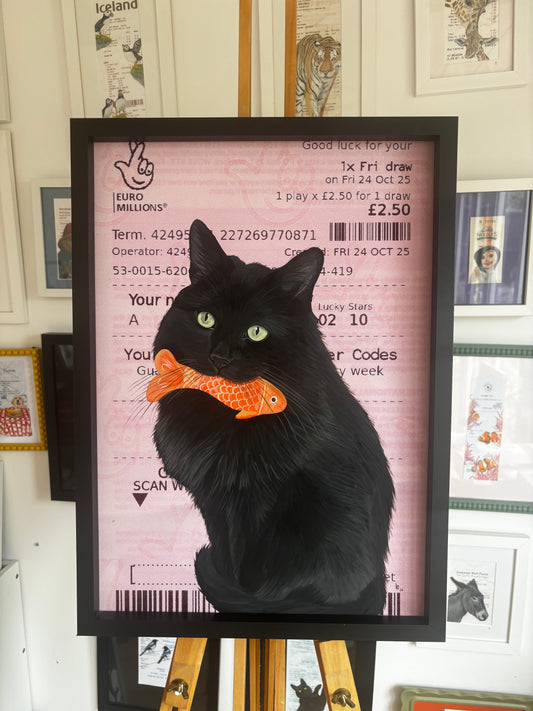 Catfished