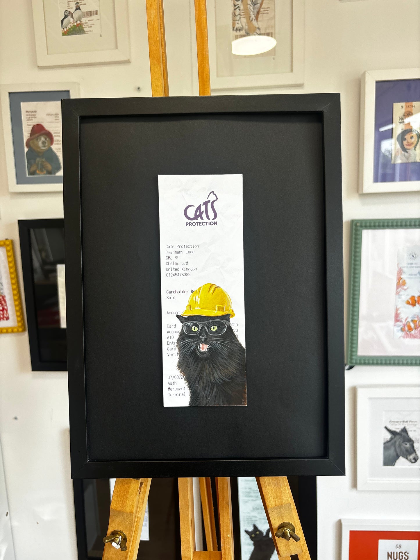 Cats Protection