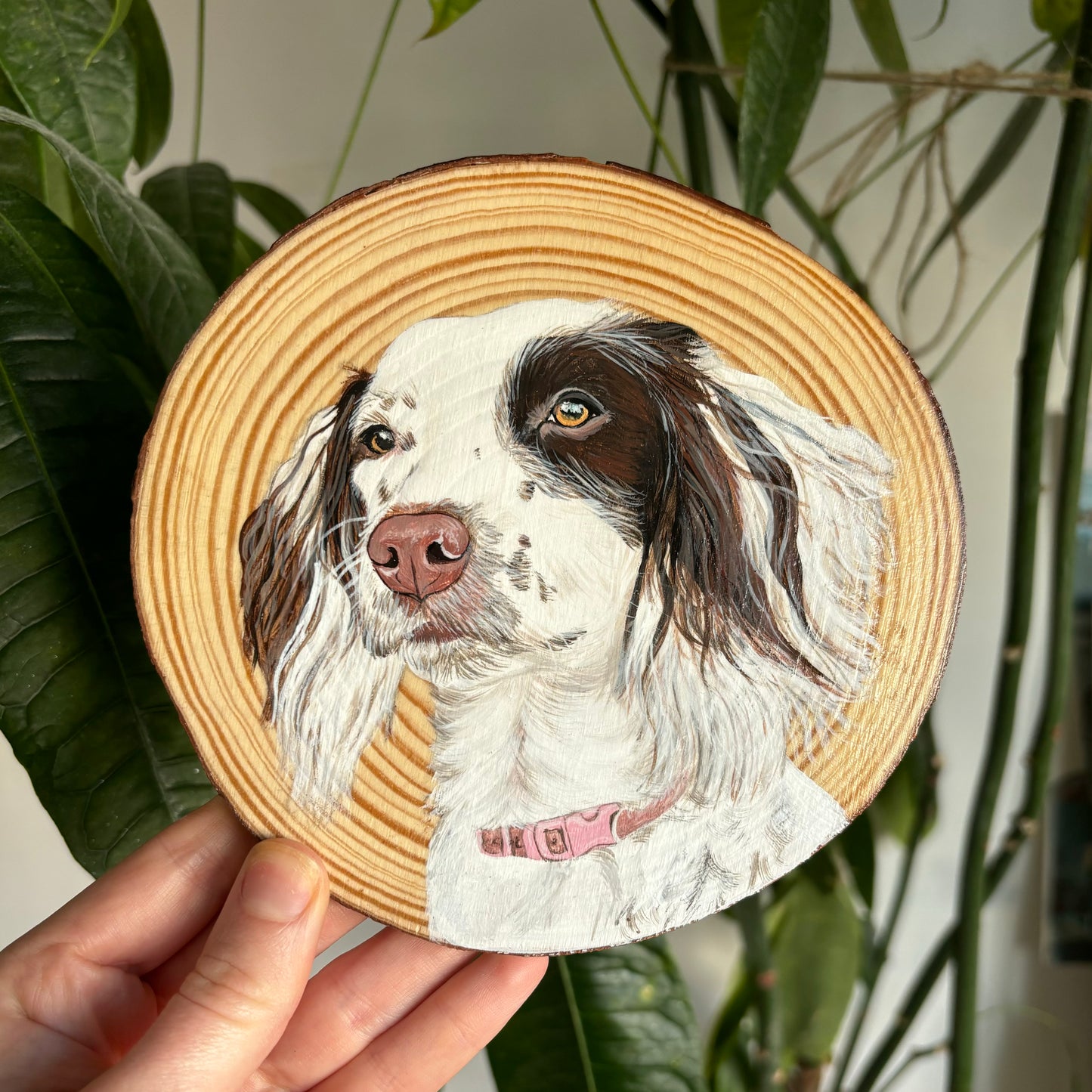 Wood Slice Portrait