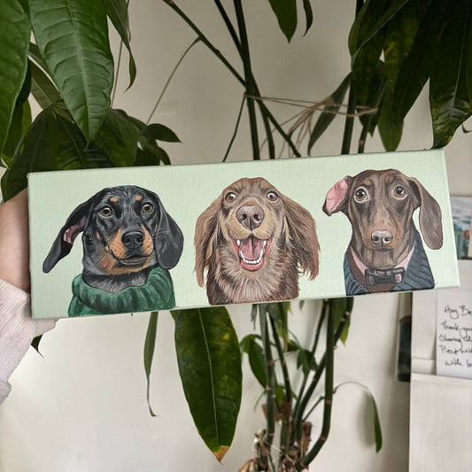 10 x 30 Canvas