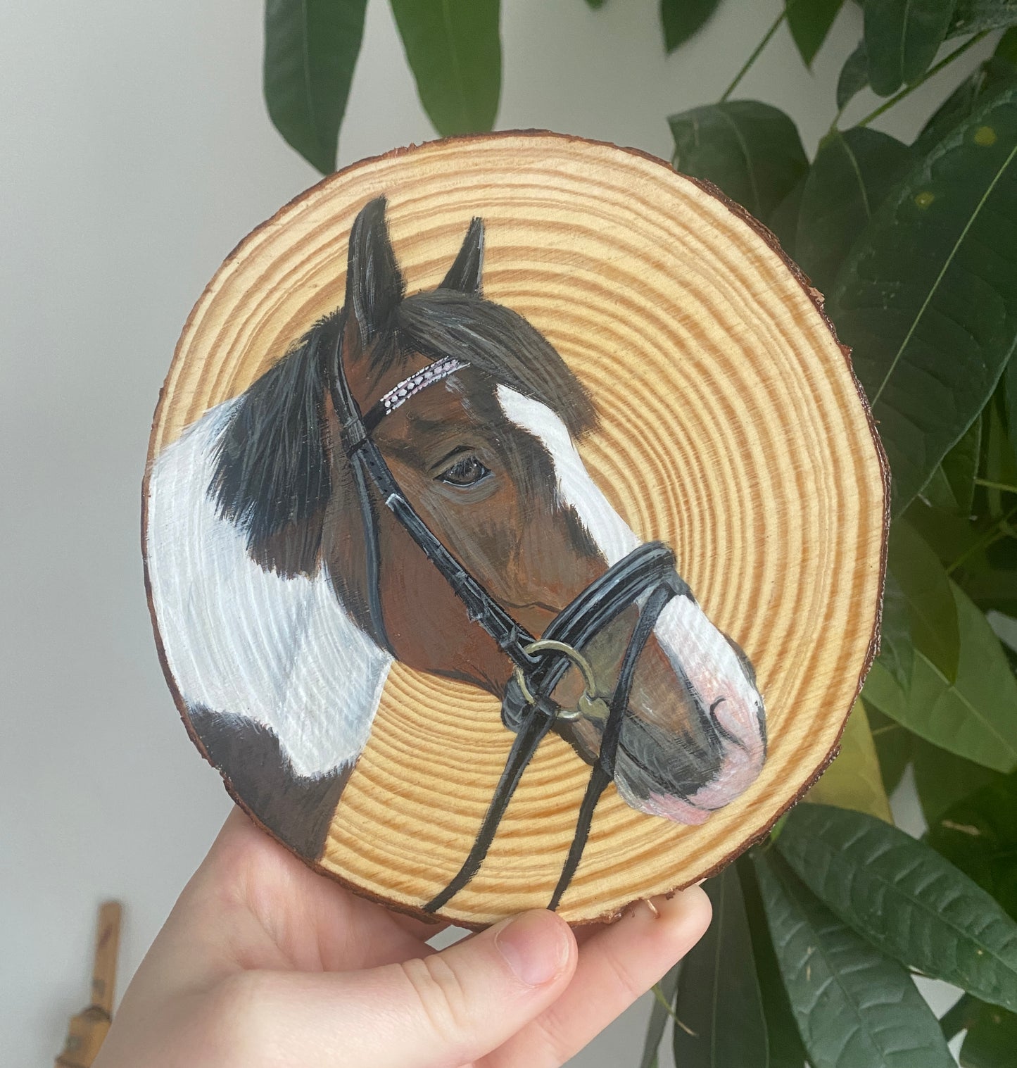 Wood Slice Portrait